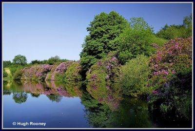  Ireland - Co.Monaghan - Rossmore Forest Park 