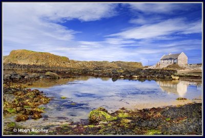 Ireland - Co.Antrim - Causeway Coast 