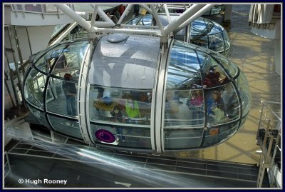 England - London - The London Eye