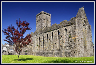 Ireland - Co.Sligo - Sligo - Sligo Abbey  