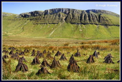 Ireland - Co.Sligo - Ben Wisken Mountain with peat stacks