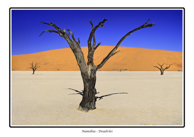 NAMIBIA - APRIL2005