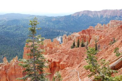 Bryce Canyon 2009 038.jpg