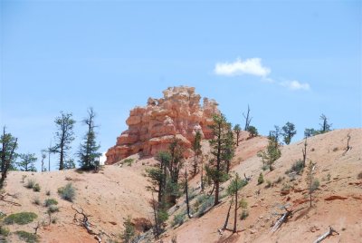 Bryce Canyon 2009 049.jpg
