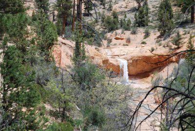 Bryce Canyon 2009 053.jpg