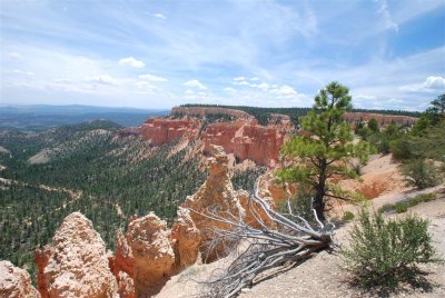 Bryce Canyon 2009 065.jpg