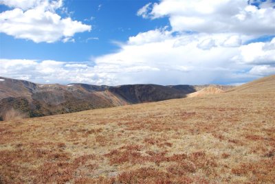 Red Cone 2009 012.jpg