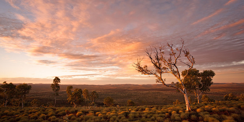 Mt Vigors Sunset