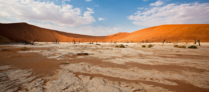 Vast Deadvlei Panorama
