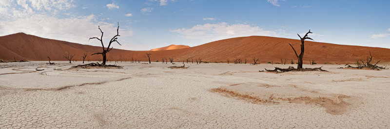 Wide Open Deadvlei Panorama