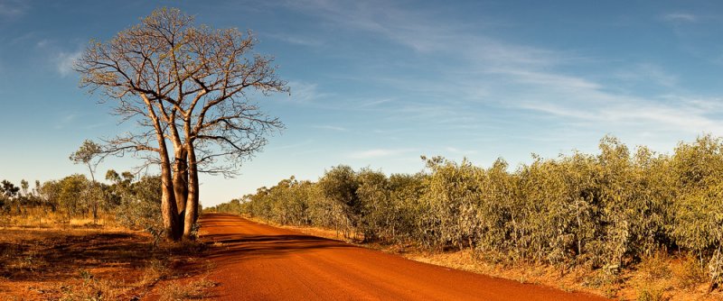 Road to Jarlmadangah Panorama