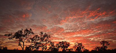Outback Kimberley Sunrise