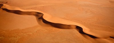 Dune Snake