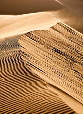 Dune Crest Sand Storm