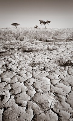 Cracks in the Desert