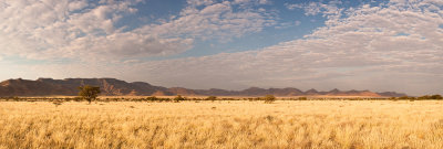 Wide Open Plain