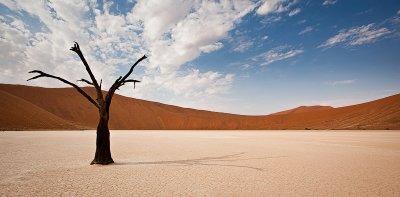 Tree and the Shadow at Deadvlei