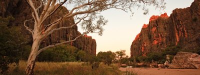 Windjana Gorge at Dawn