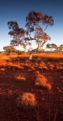 Australia - Karijini & Pilbara & outback WA