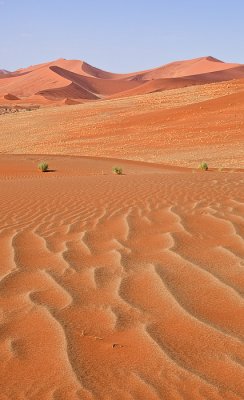 Sossusvlei Patterns