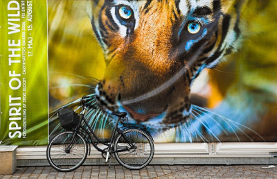 Spirit of the wild meets bicycle
