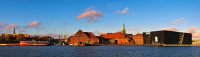 Copenhagen skyline panorama