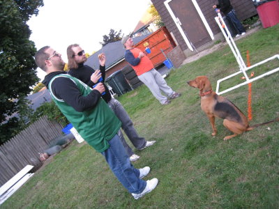g1/34/131434/3/104959428.r37ucztz.jpg