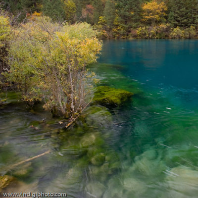 HuangLong and JiuZhaiGou, Sichuan  Heaven on Earth (Part II) 2007