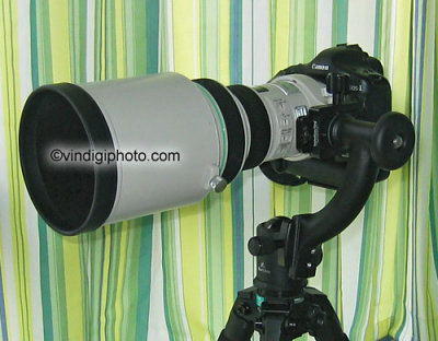 Canon 400mm F4 DO IS