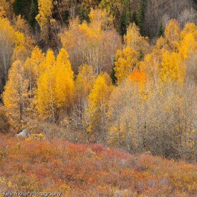 Journey to Northern XinJiang, China 2009 (Part I)