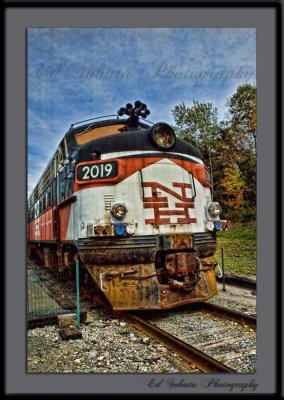 DSC_9522wf.jpg