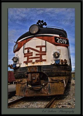 DSC_9528wf.jpg