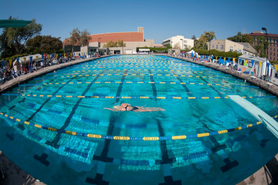 Lane 1 is busy