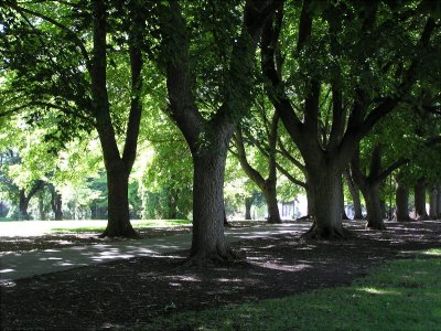 Univ. of Idaho