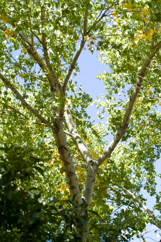 SDIM1229 outside our balcony