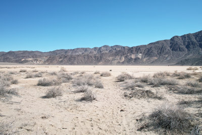 SDIM3265.jpg silence, stillness of the desert playa