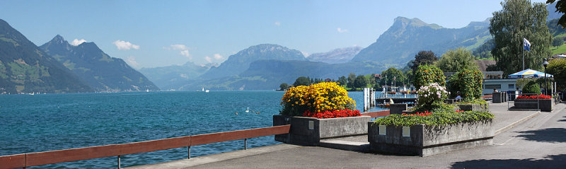 Buochs with Lake Lucerne 