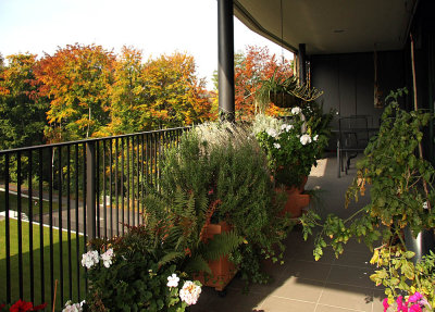 balcony and autumn