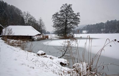 Rotsee in winter