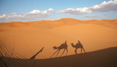 Camel ride at sunset