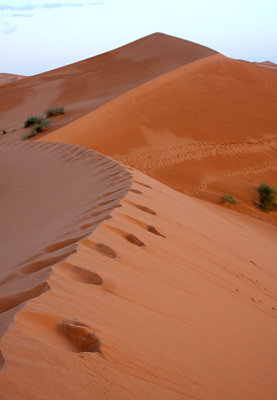 Step by step up to the highest sand dune
