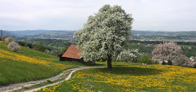 View from Adligenswil to Ebikon