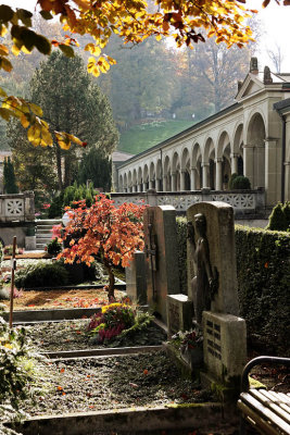 Cemetry in Lucerne