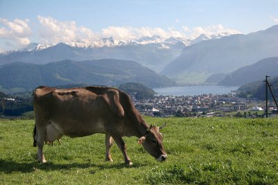 View to Horw and lake Lucerne