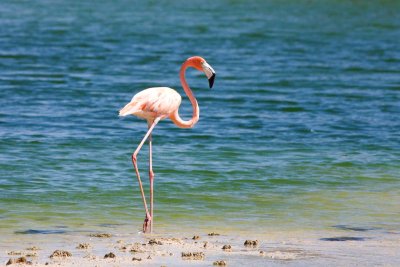 Turks and Caicos Gallery