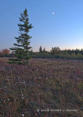 g1/34/375734/3/104258404.Cu975AAx.jpg