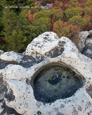 Weathered Limestone #1