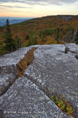 Autumn View