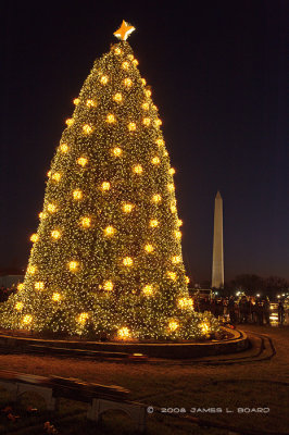 National Christmas Tree 2008 #2