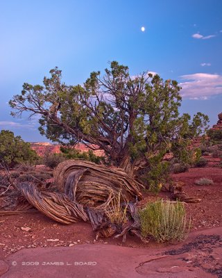 Canyonlands National Park